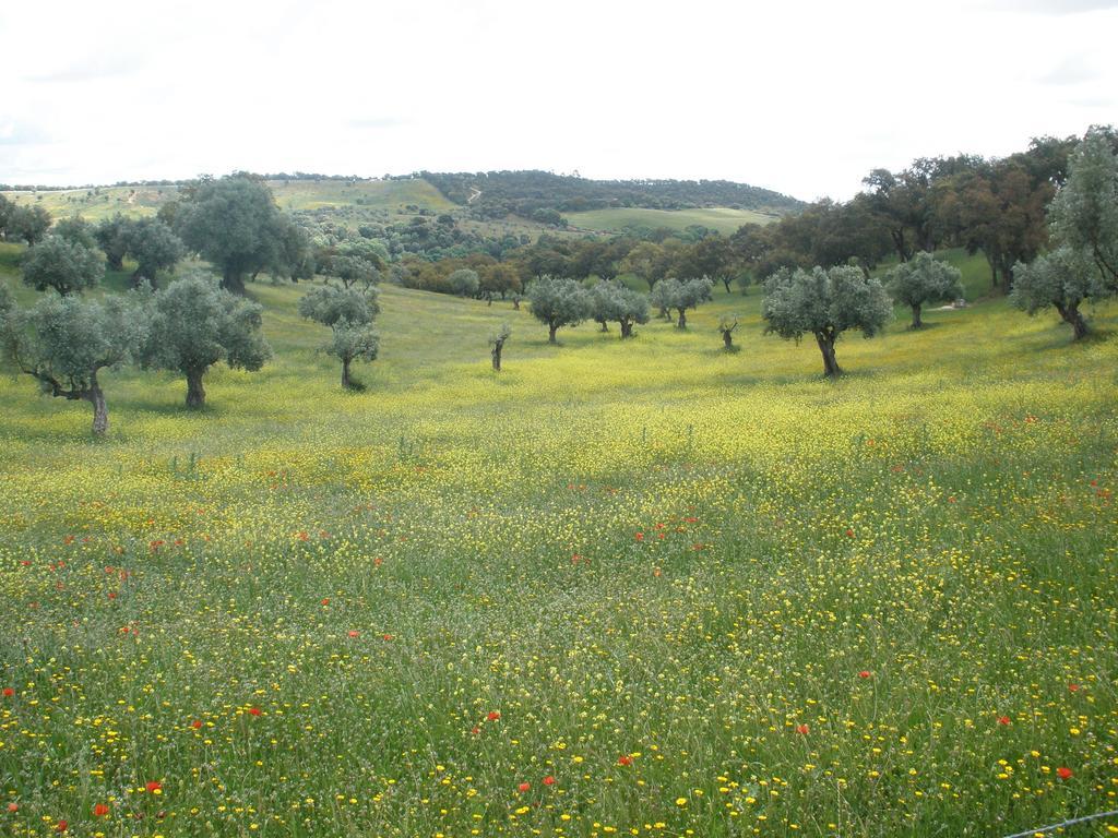 Sobral  Quinta Da Mata 빌라 객실 사진