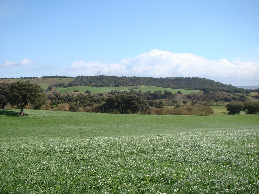 Sobral  Quinta Da Mata 빌라 객실 사진