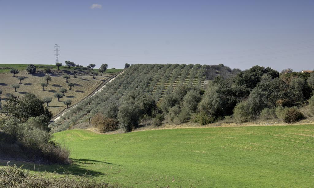 Sobral  Quinta Da Mata 빌라 객실 사진